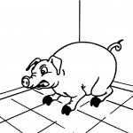 Desenhos para colorir - Porco