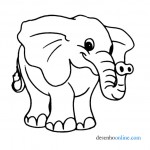 elefante