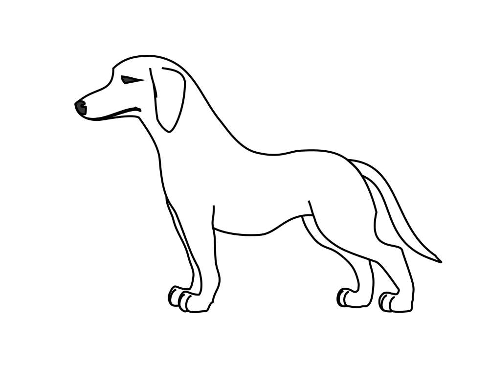 Cachorro fácil de fazer em 2023  Desenho de cachorro, Cachorro