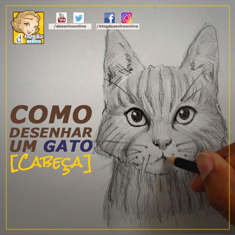 Tutorial - Como desenhar gatos / How to draw cats 