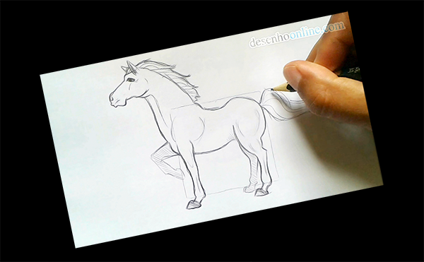 Desenhando um cavalo com auxílio do Hemisfério Direito do Cérebro