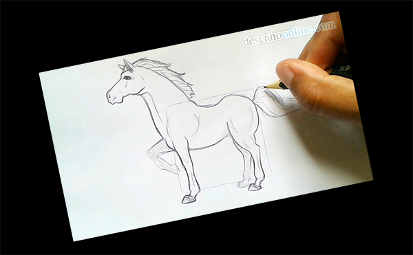 Desenhando um cavalo 