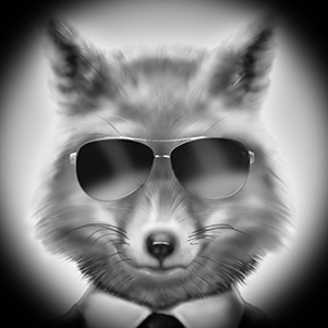 Fox---Mateus-Machado