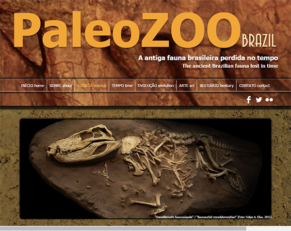 Paleozoo Brazil - RESPOSTA DO QUIZ Tamanduás e preguiças modernos são  representantes de uma linhagem de mamíferos sul-americanos muito antiga,  que possivelmente retrocede 60 milhões de anos em sua origem. São  reconhecidas