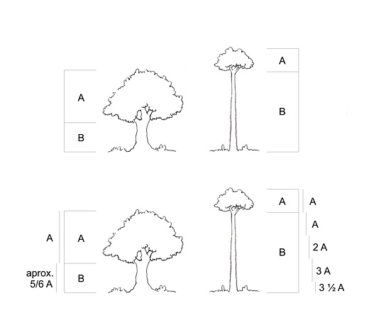 Como fazer um desenho ficar mais fácil de desenhar?