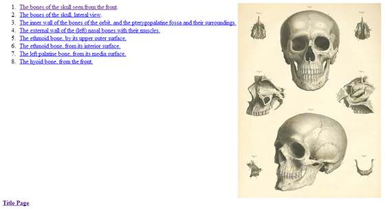 Referências de anatomia humana4